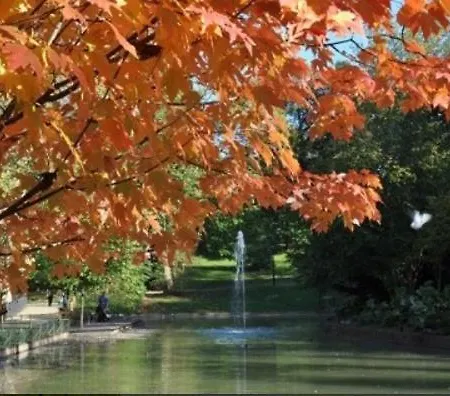 Vakantiehuis Big 4 In A Centric Parking Included *