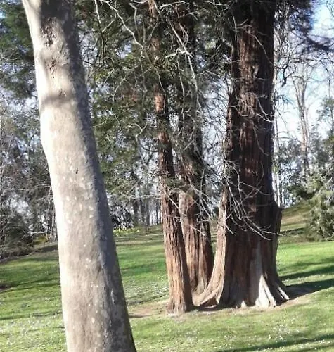 Big 4 In A Centric Parking Included Holiday home San Sebastian