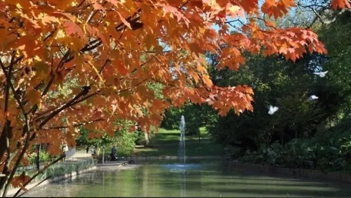 Holiday home Big 4 In A Centric Parking Included *