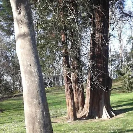Big 4 In A Centric Parking Included Nyaraló San Sebastián
