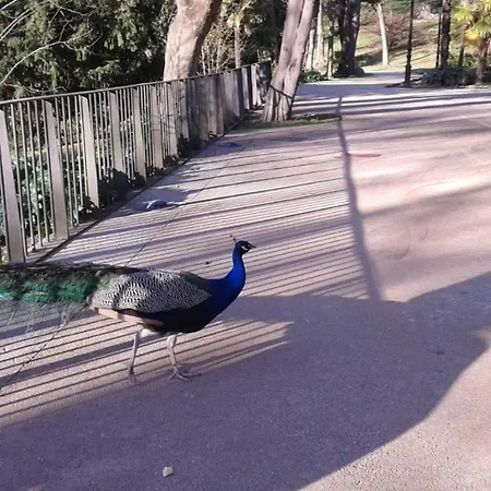 Big 4 In A Centric Parking Included Nyaraló