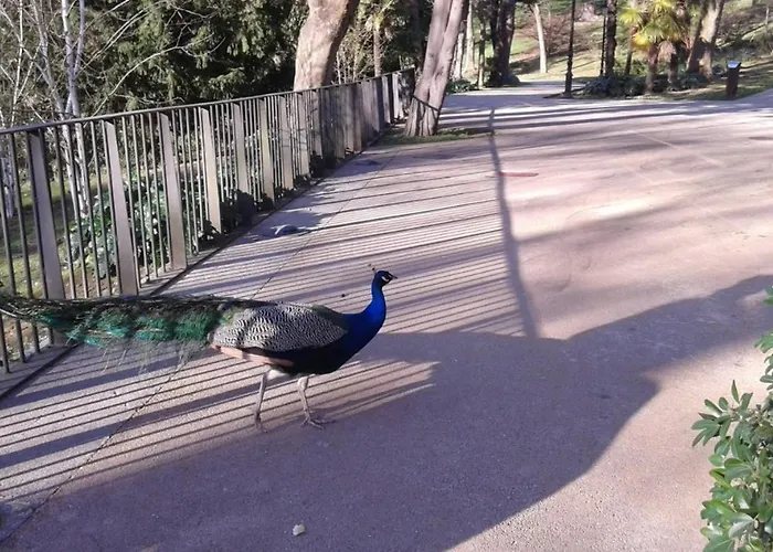 Big 4 In A Centric Parking Included 別荘